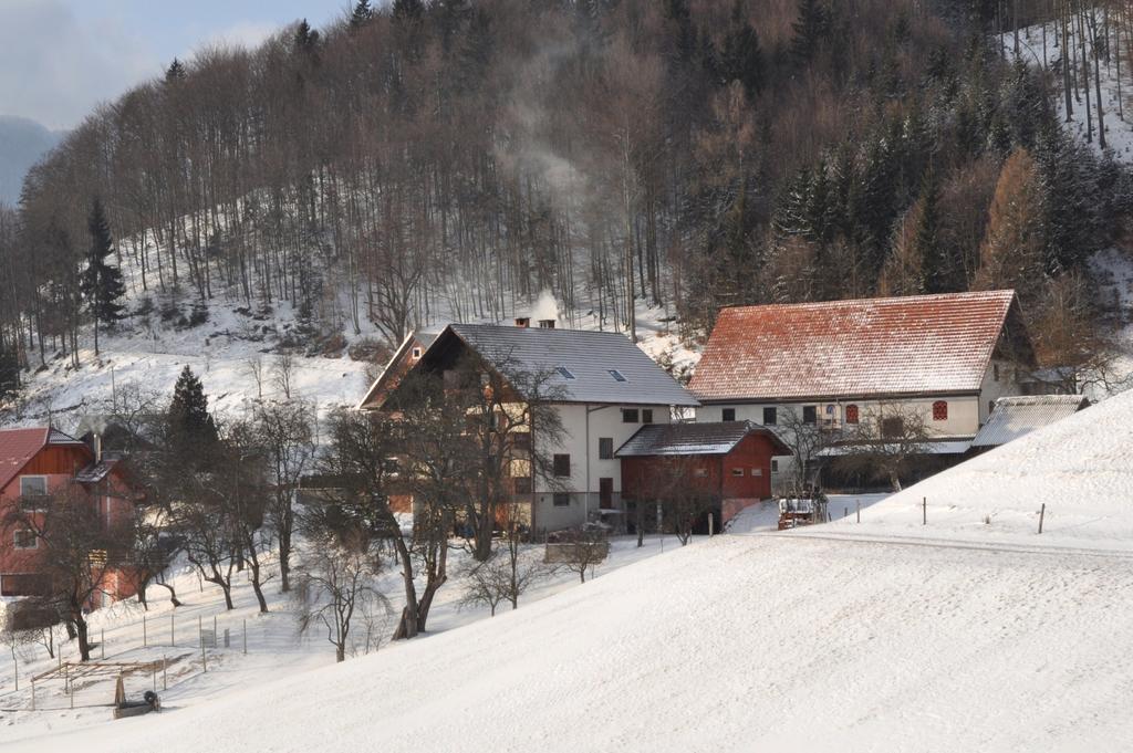 Apartments Lovec Cerkno Habitación foto